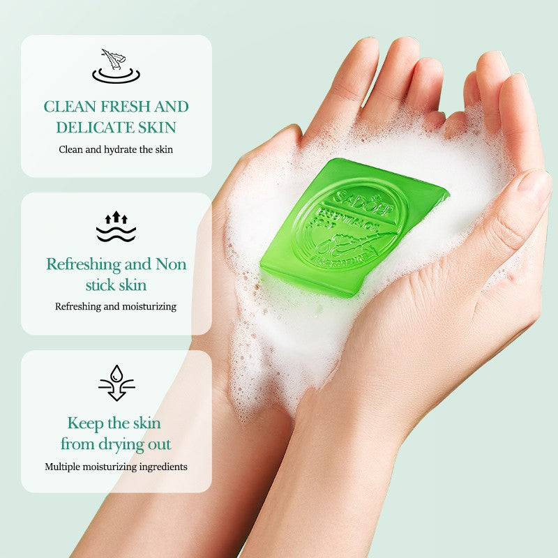 Sadoer Aloe Vera Smooth Cleansing Natural Facial Soap 100g